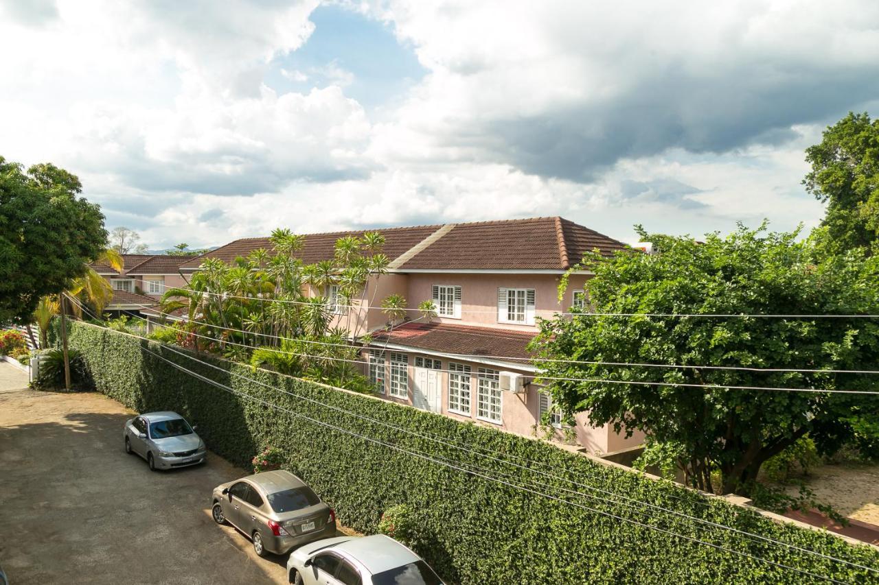 Choose To Be Happy At Seymour # 9 And #16 - Studio Apartments Kingston Esterno foto