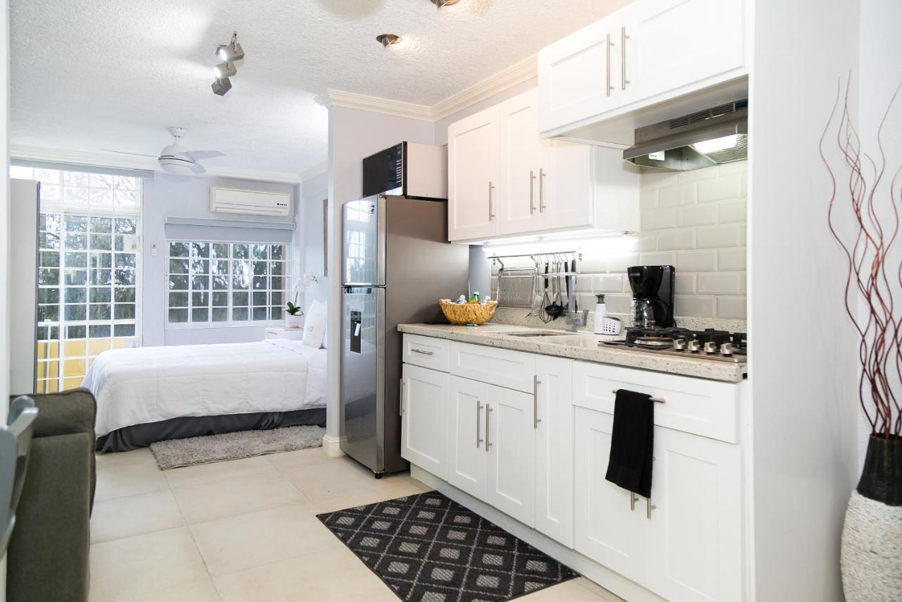 Choose To Be Happy At Seymour # 9 And #16 - Studio Apartments Kingston Esterno foto